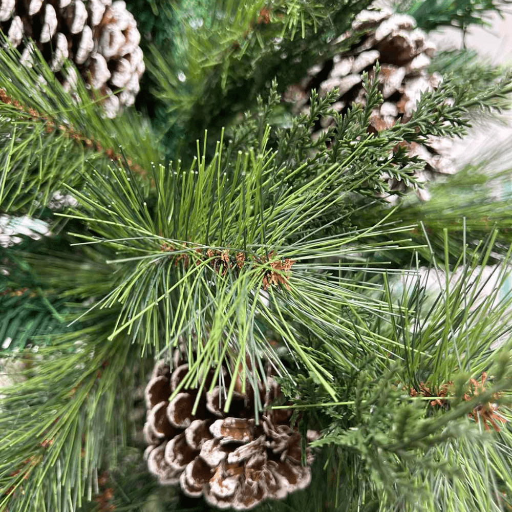 Ανώνυμο-σχέδιο-6-2